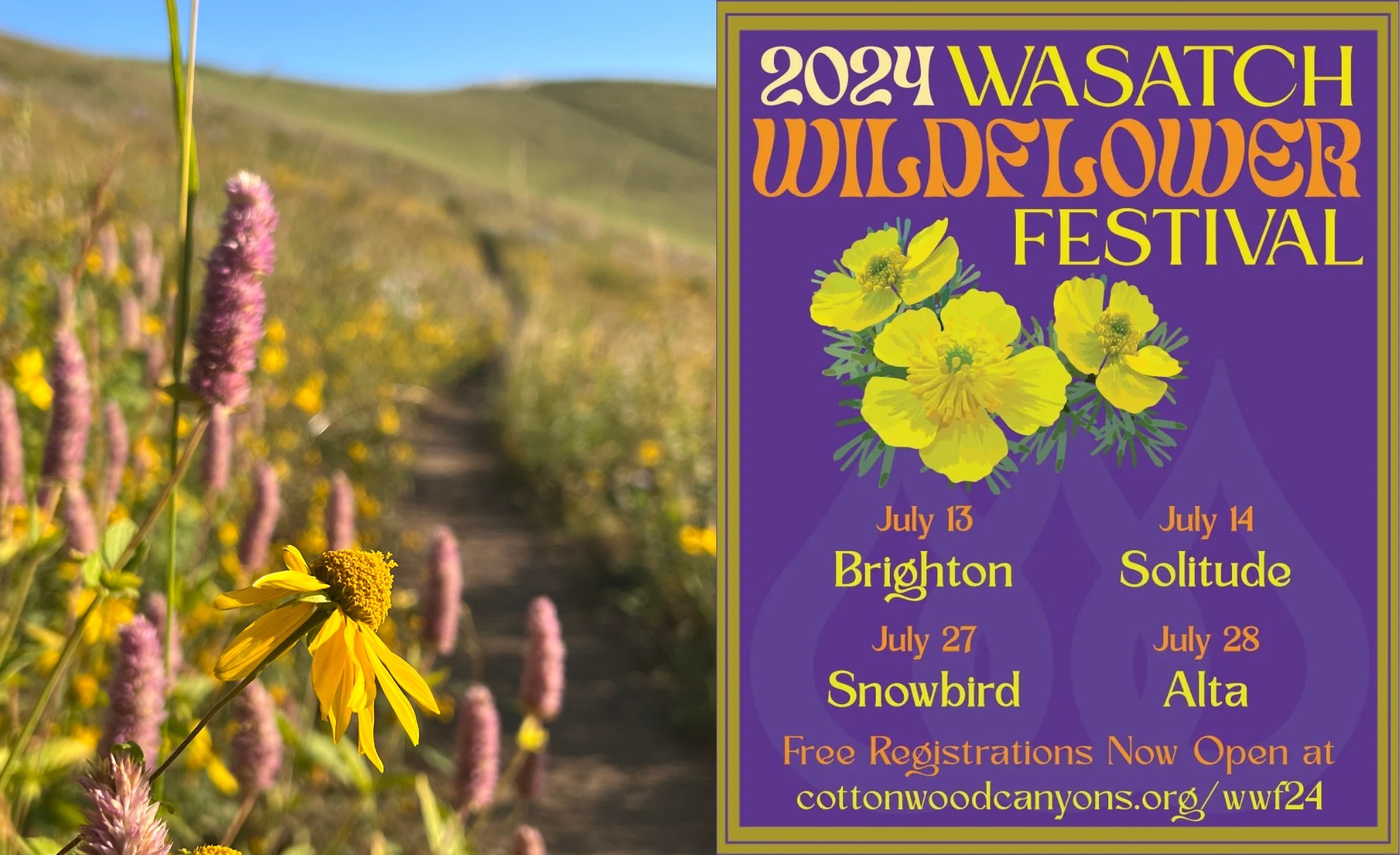 2024-Wildflower-Festival-Schedule.png