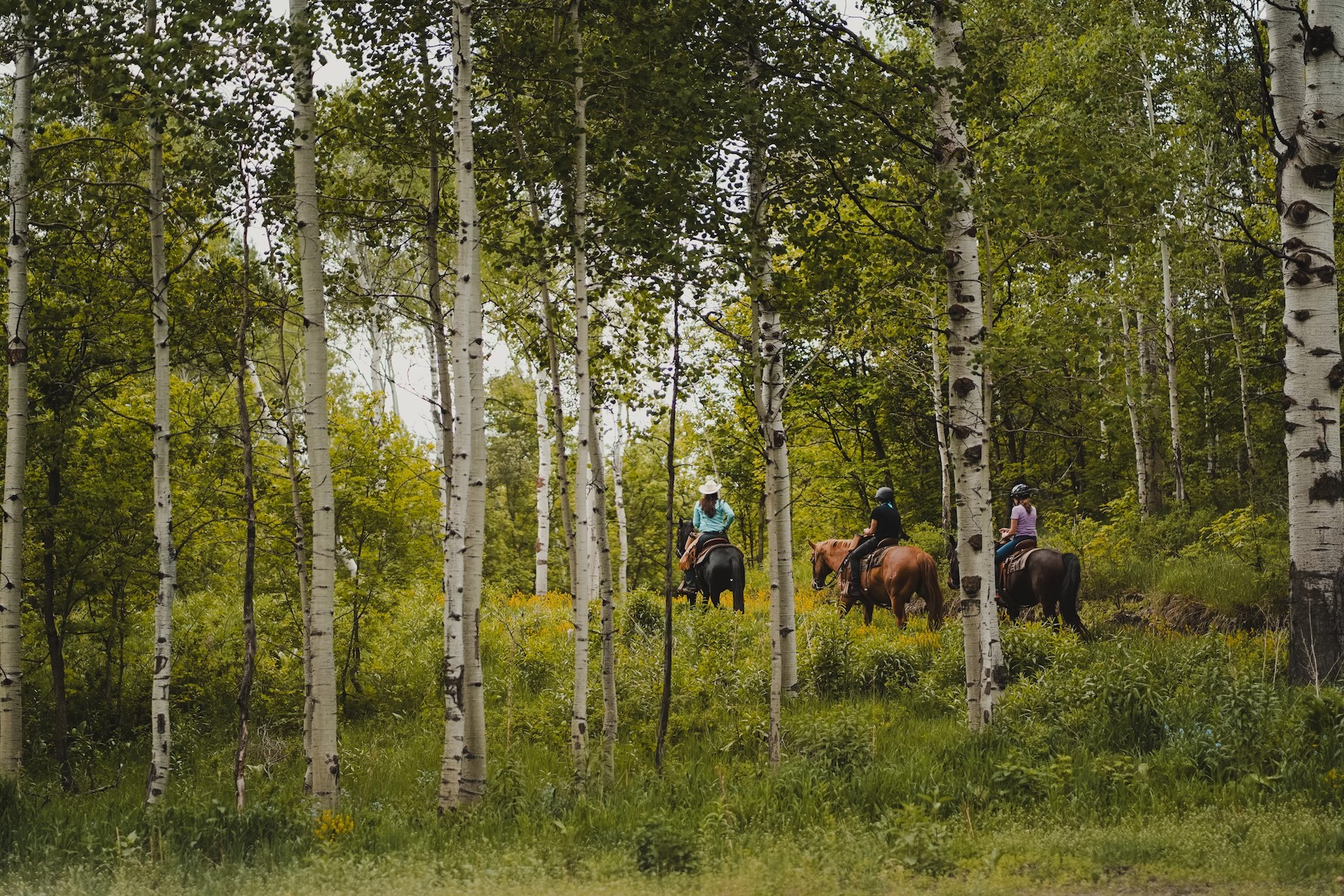 Horseback riding at Sundance Resort in Utah