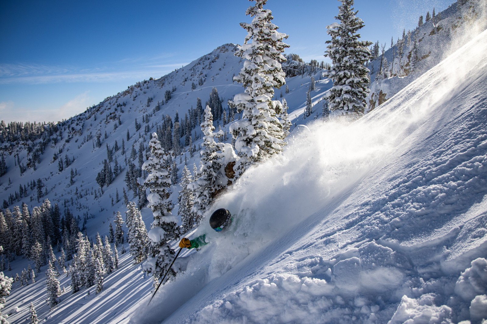 Dropping into the Utah backcountry near Alta Ski Area.jpg