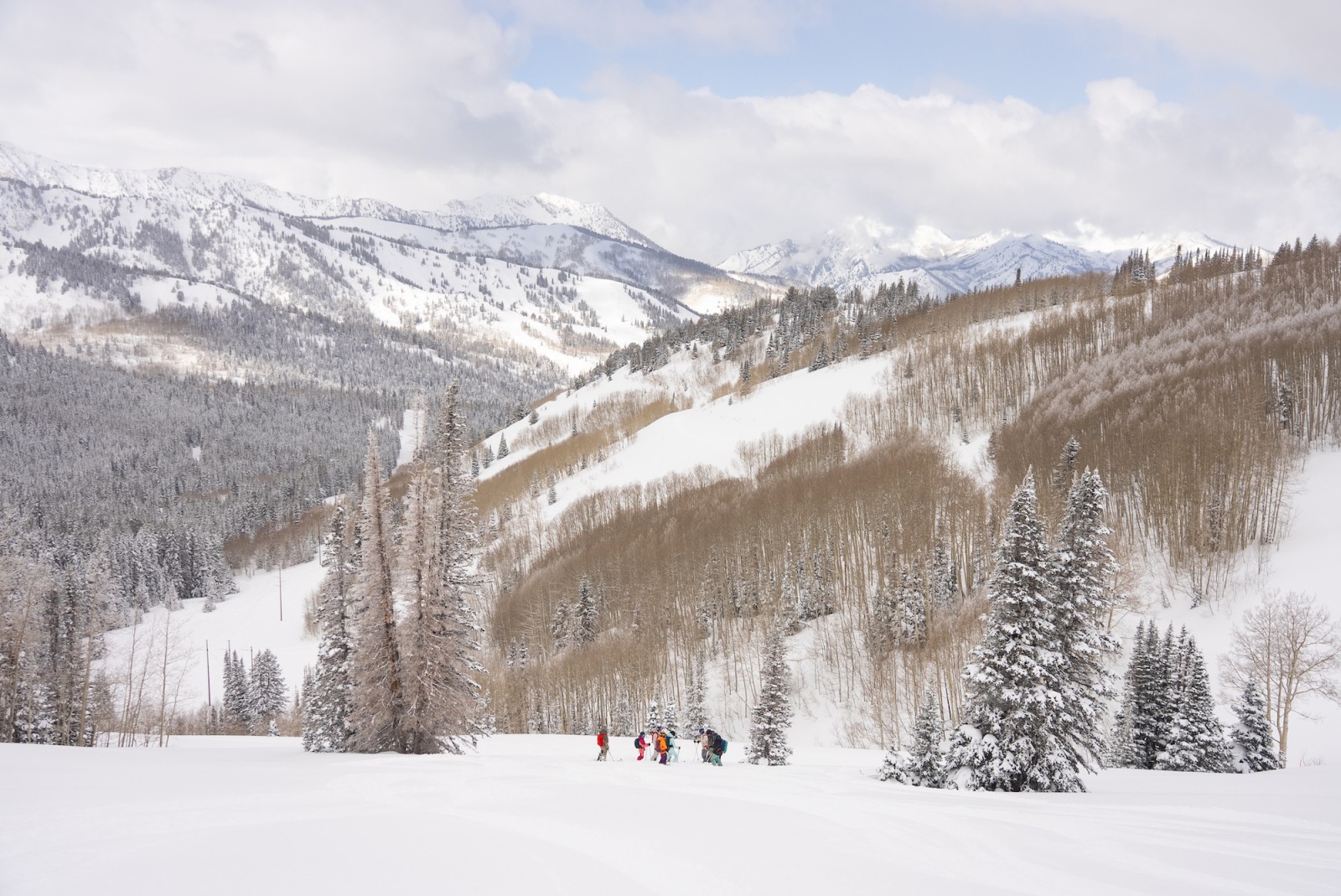 Out in the Wasatch backcountry.JPG