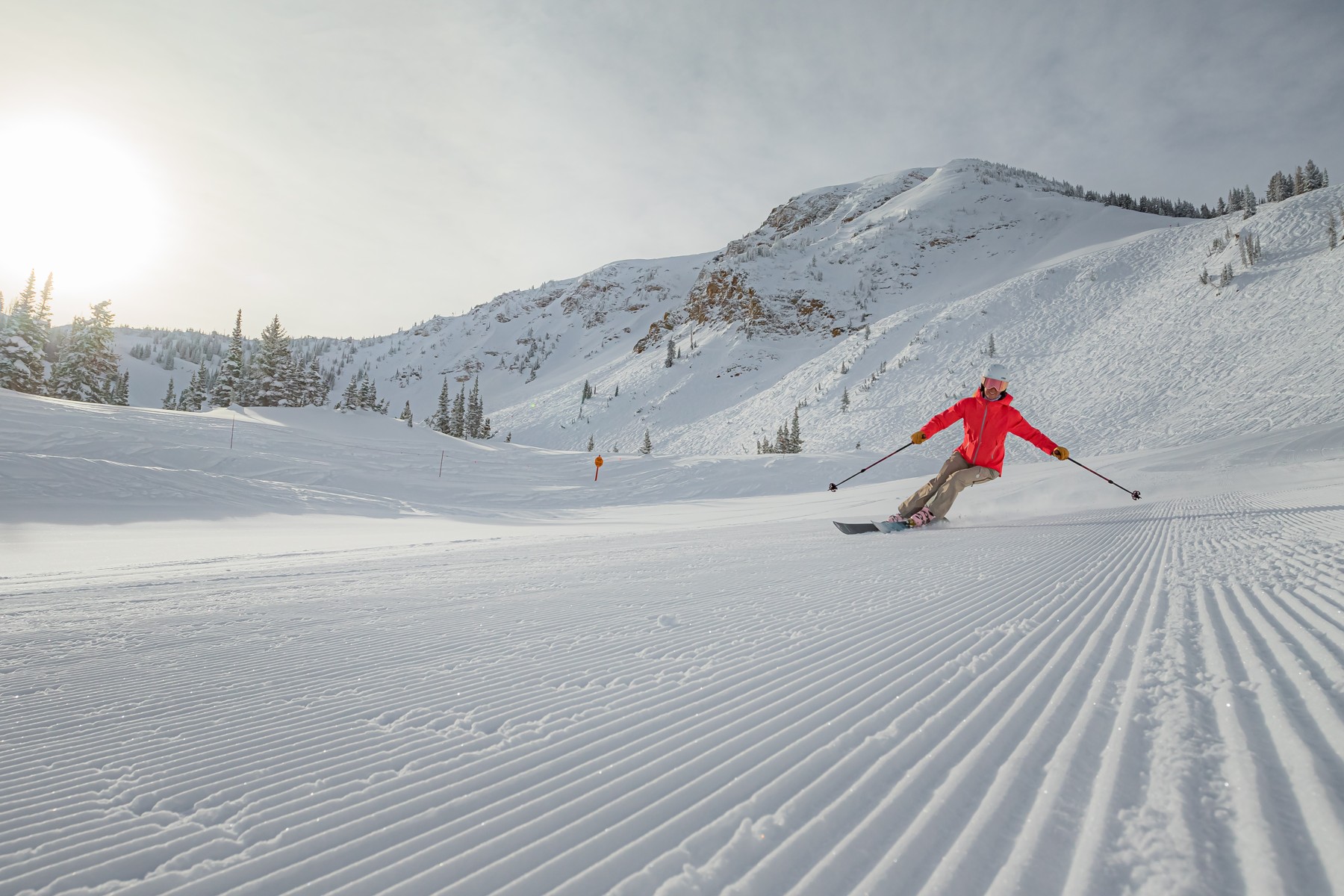 20210222-CP-Alta-SunnyGroomers-FY1A4884.jpg