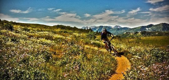 Your Summer Mountain Biking Guide