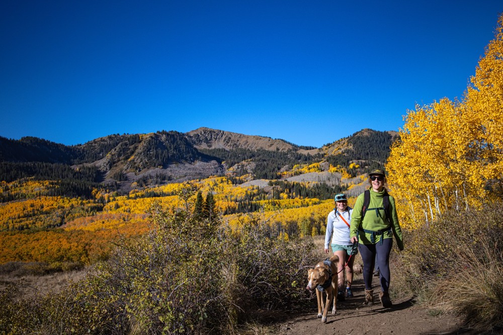 Mental Health Mountain Prespectives with University of Utah Health