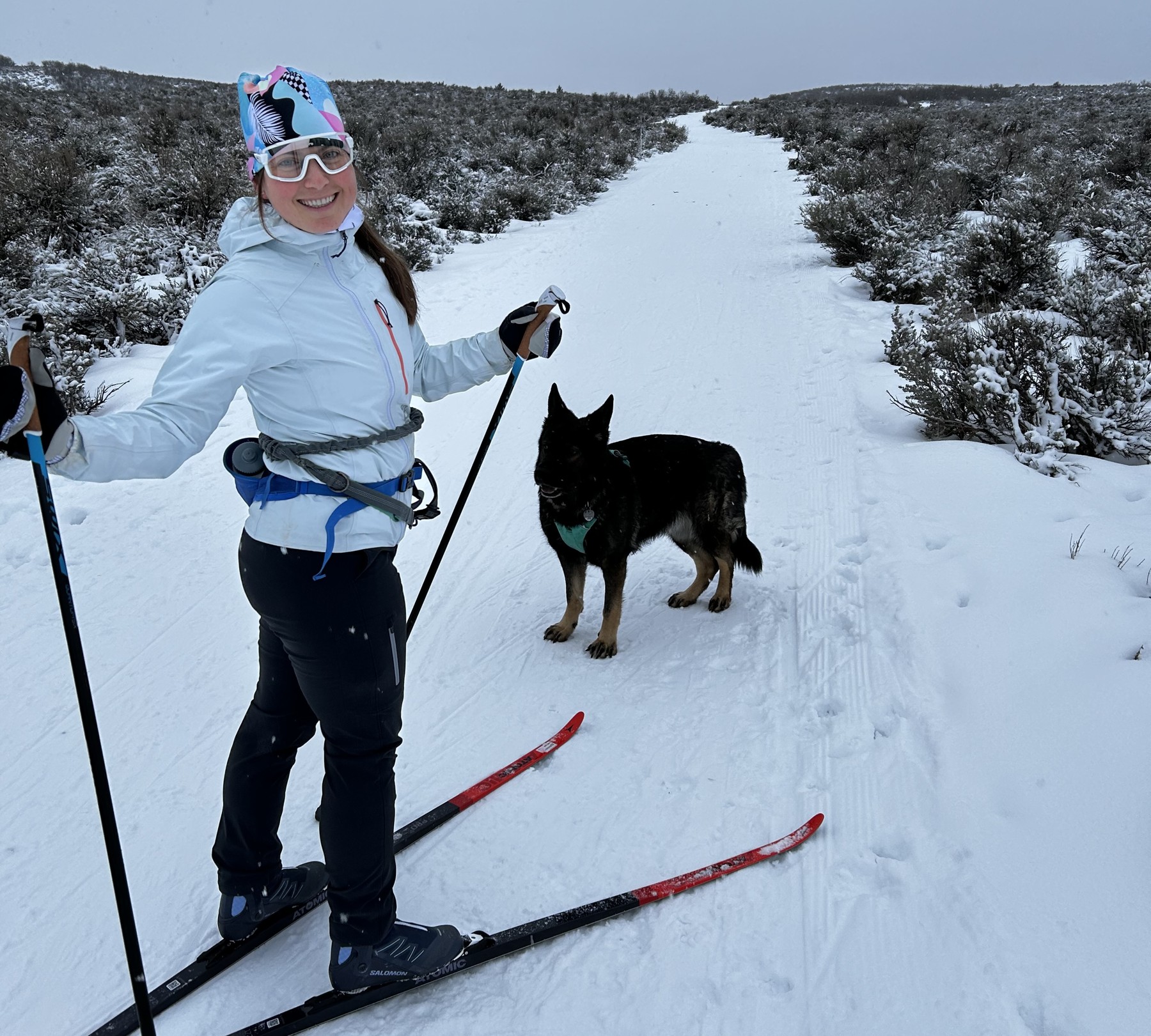 Dog-Friendly Nordic Skiing in Utah