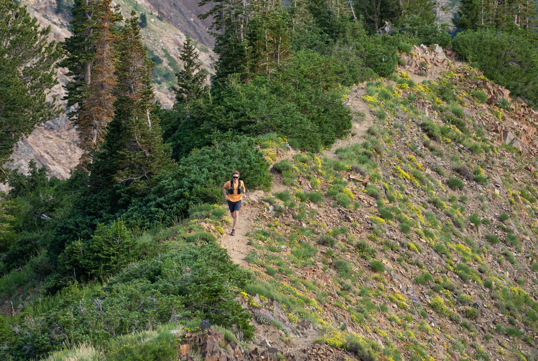 Tips to trail run safely this summer