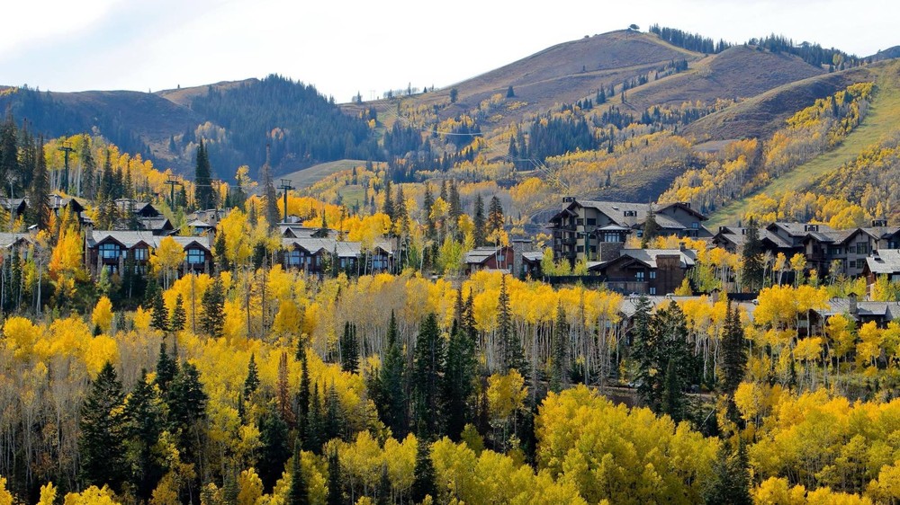 Fall Lodging Special