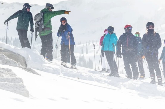 Alta Trees and Skis